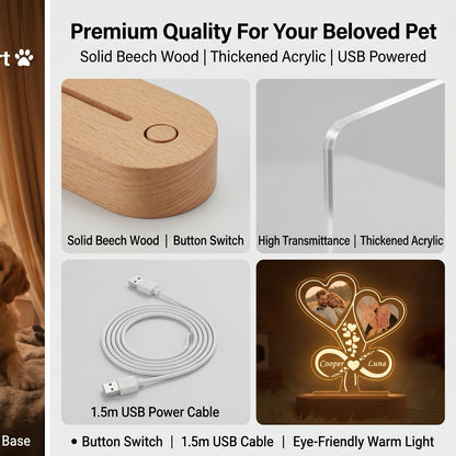 Personalized Paw Print Photo Lamp | Custom  Acrylic Night Light with Wooden Base