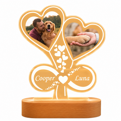Personalized Paw Print Photo Lamp | Custom  Acrylic Night Light with Wooden Base